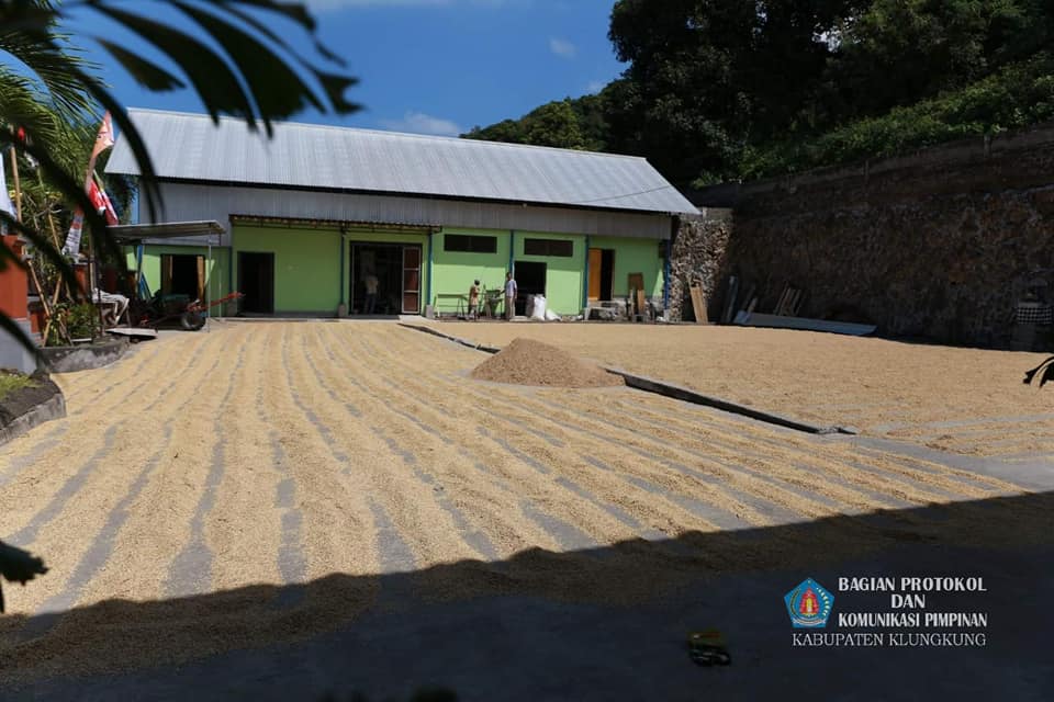Juli_15_2020_BIMA_JUara.jpg