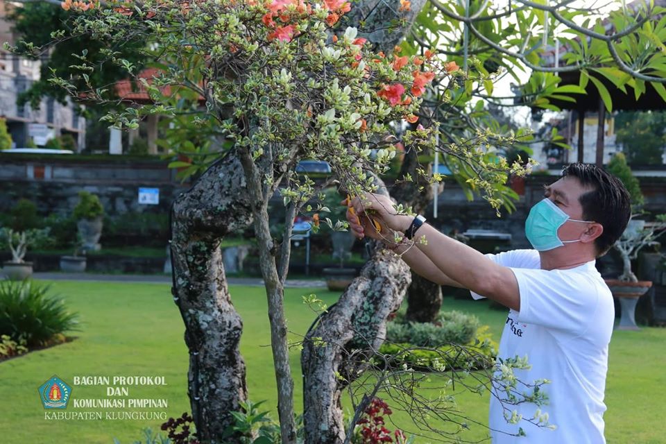 Juni_18_2020_taman.jpg