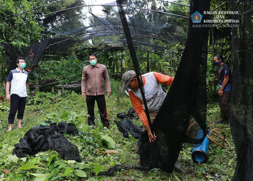 Mei_17_2020_Pembibitan.jpg